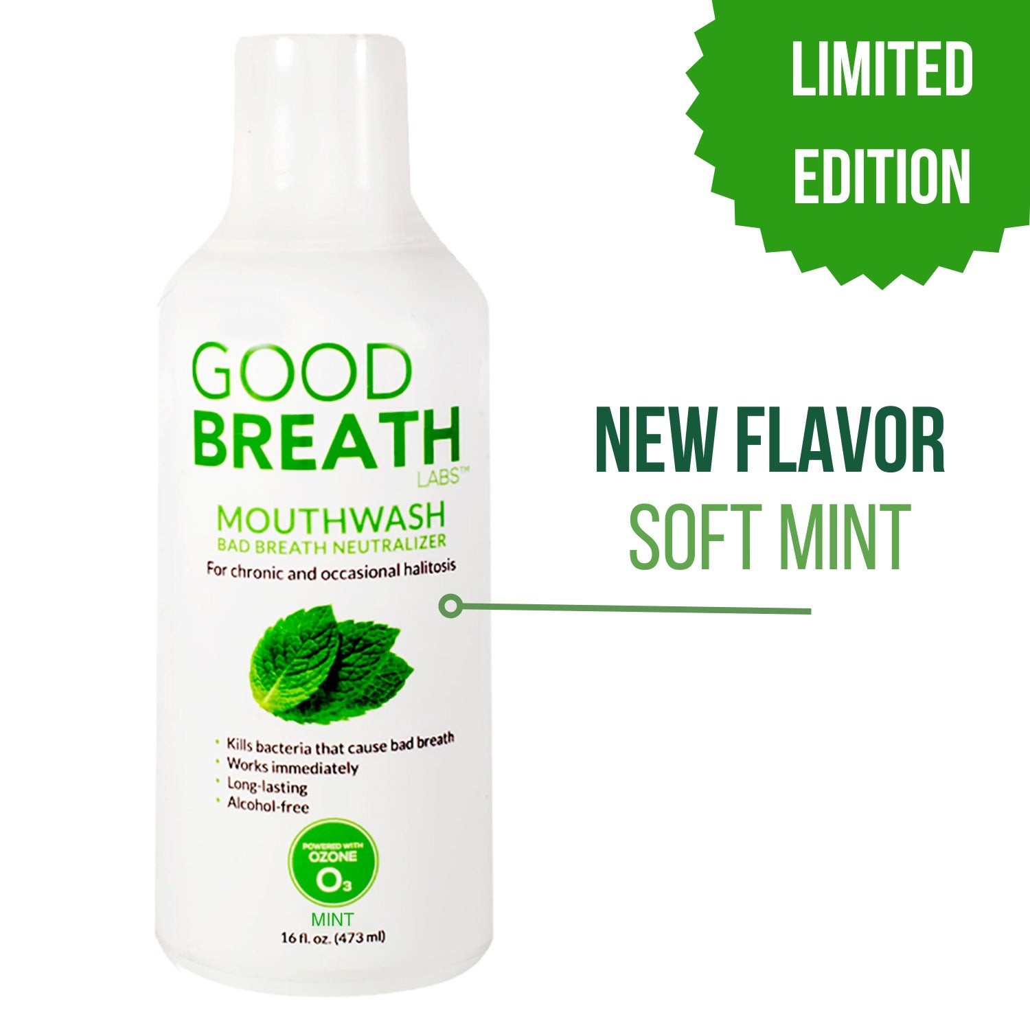 Good Breath Mouthwash Mint 16oz 1-Pack