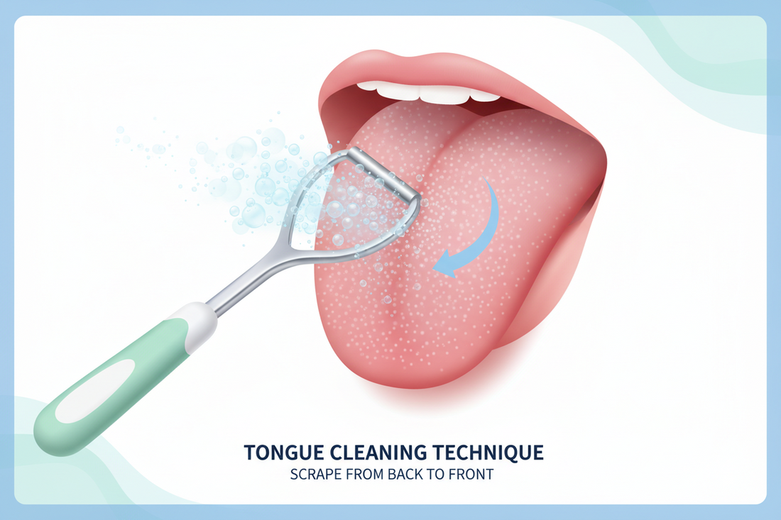 SOS! Your friends told you that you have Bad  Breath: How to start your solution today