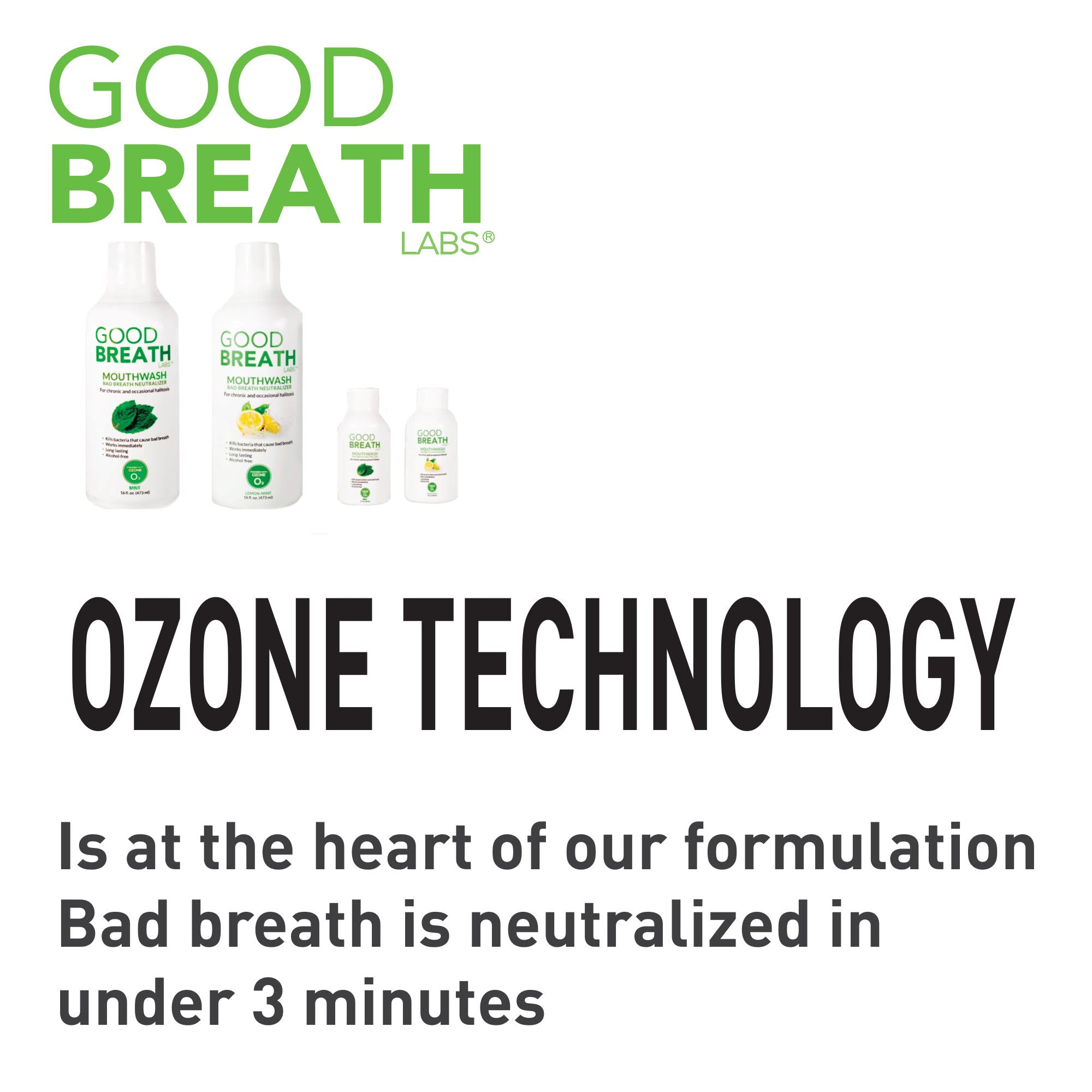 Good Breath Mouthwash Mint 16oz 3-Pack