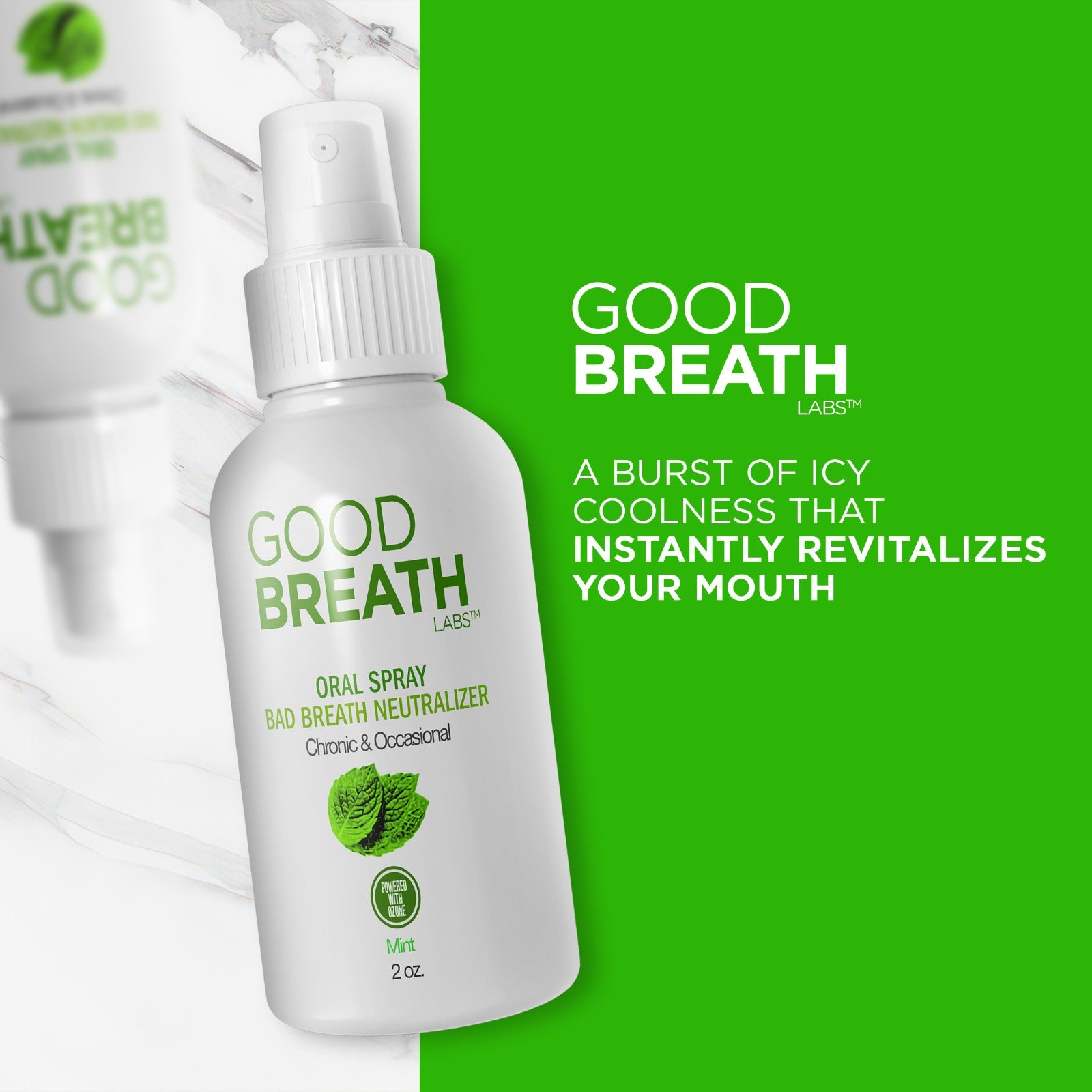 Good Breath Oral Spray Mint 2 oz - 2 Pack